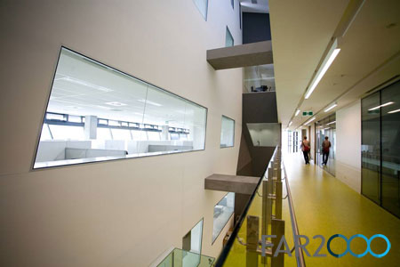 �w�����ģ�5��