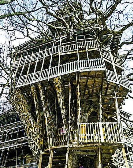 ���ݣ�2��