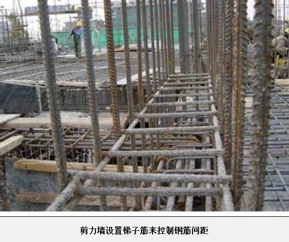 ���઄���̈DƬ