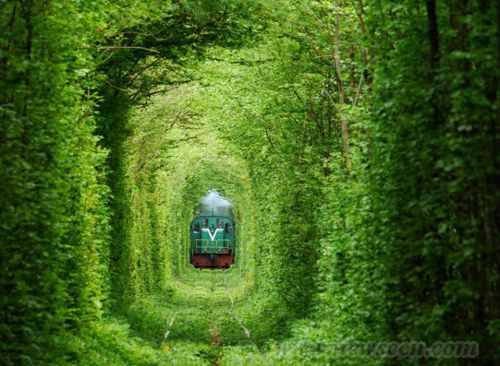 �۵�����