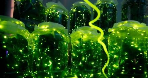 �A���׼�Ξ���x���}���@