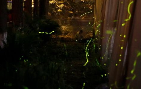 �A���׼�Ξ���x���}���@