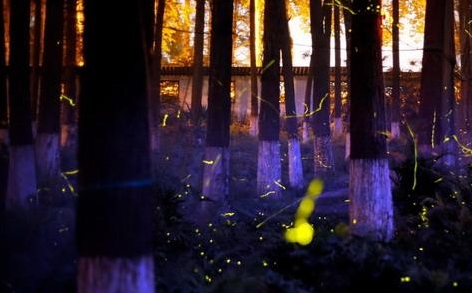 �A���׼�Ξ���x���}���@