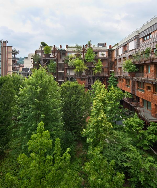 ��(n��i)Ժ�ԷN��50�Ø�