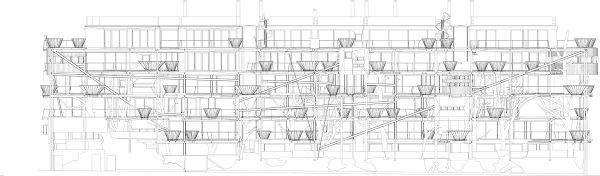 ����������Z�ĳ��И���