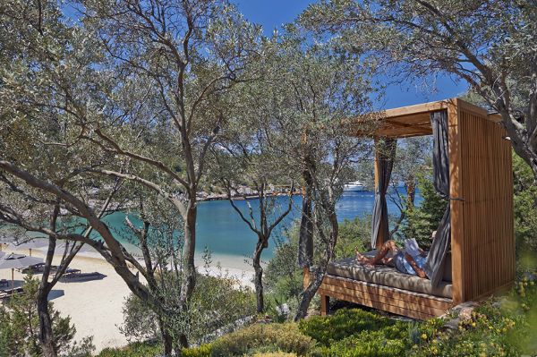 �����䲩����ķ ���A�|���Ƶ�ȼٴ�