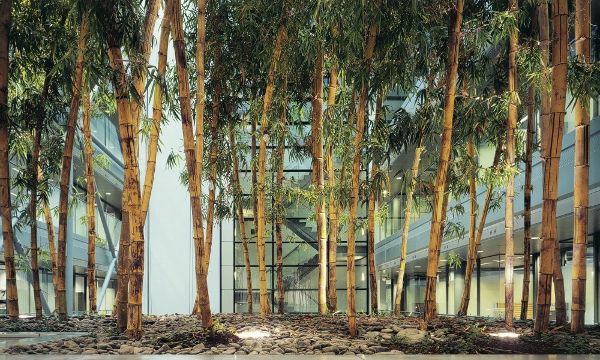 Ų����ķ˹�ص�����ING�������