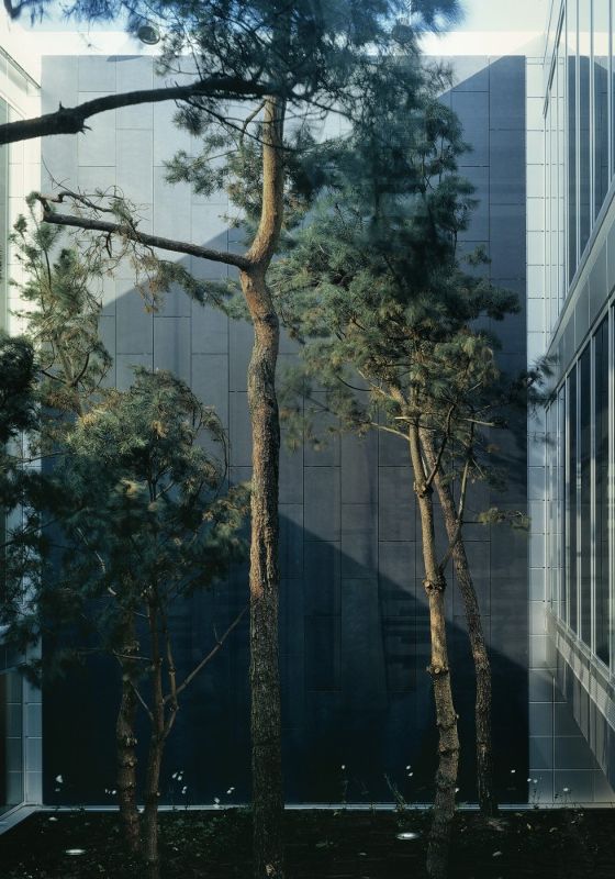 Ų����ķ˹�ص�����ING�������