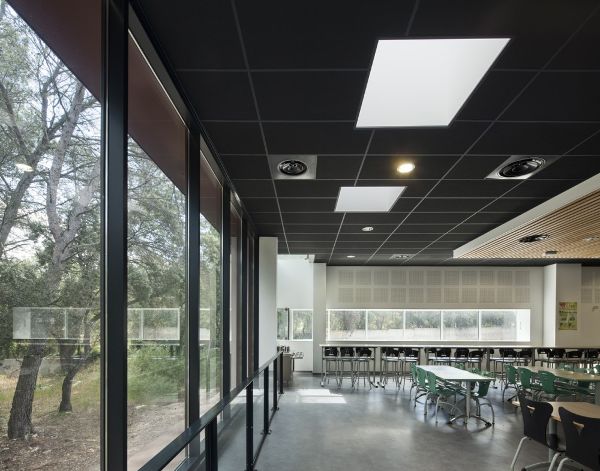 ��������˹�����ЌW�ĸĔU���Ŀ