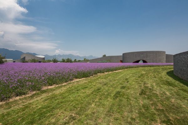 �����ӑc���Ѳ��[��(hu��)չ�[�^