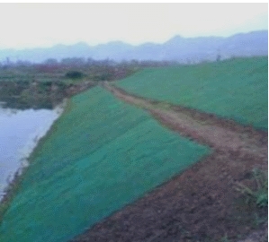 二級建造師公路實務移動精講班--防護與支擋工程類型