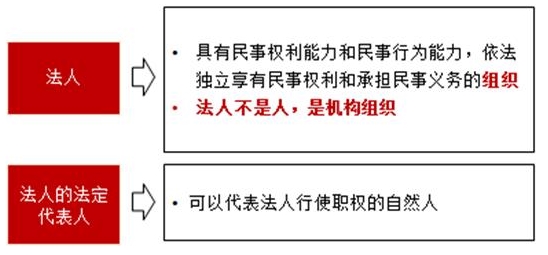 合同法律關系的構(gòu)成