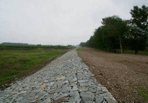 二級建造師考試知識點：防護與支擋工程的適用條件與功能