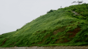 二級(jí)建造師考試知識(shí)點(diǎn)：防護(hù)與支擋工程類型