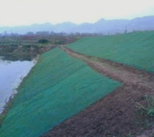 二級(jí)建造師考試知識(shí)點(diǎn)：防護(hù)與支擋工程類型