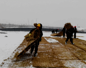 二級(jí)建造師考試知識(shí)點(diǎn)：無(wú)機(jī)結(jié)合料基層(底基層)養(yǎng)護(hù)