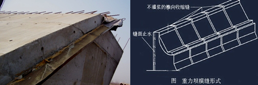 二級建造師水利實(shí)務(wù)知識點(diǎn)：混凝土壩的構(gòu)造及作用